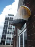 Salford Fly Horror